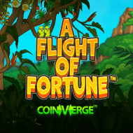 A Flight of Fortune